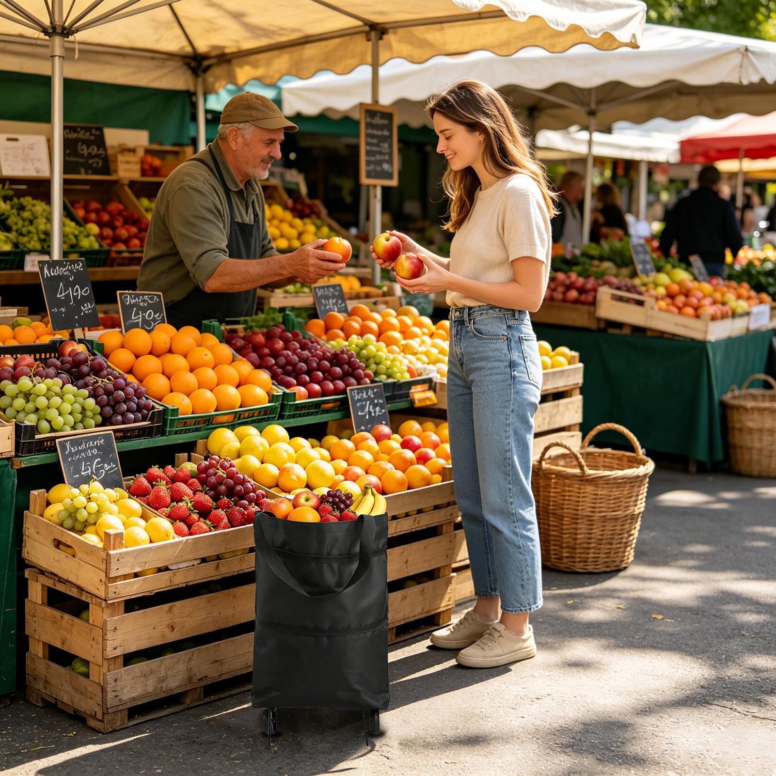 Bolsa de Compras con Ruedas, P - Women Bags Farmers reseña y precio